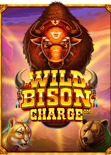 เว็บ พนัน ออนไลน์ แนะ นํา: รีวิวเกมจาก Joker Gaming